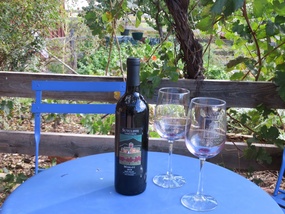 Sutcliffe Vineyards