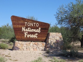 Tonto National Forest