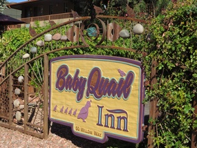 Baby Quail Inn