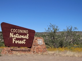 Coconino National Forest