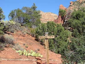 Llama Trail
