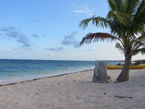 Our beach