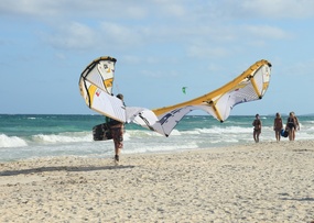 Beach Life