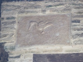 Heron