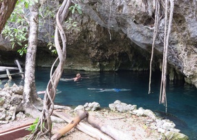 Last Cenote