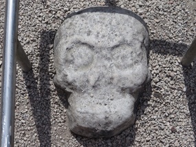 Skull
