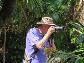 That intrepid photographer again ...