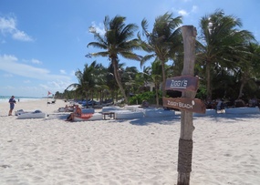 Ziggy's Beach Club