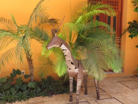 Deer