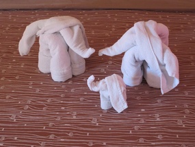Three Ellies 