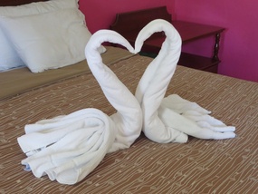 Swans at Tunich Beh