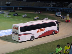 The Coach