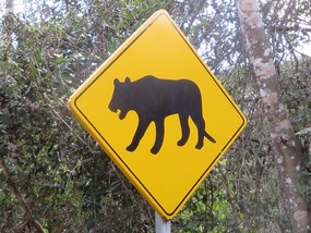 Beware ...