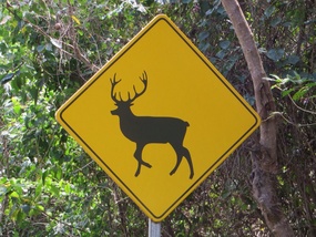 Beware ...