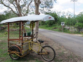 Tricicelo - with sunshade
