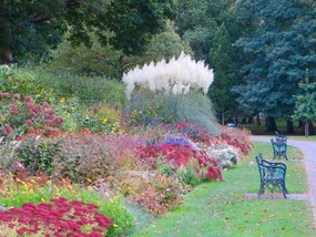 Bute Park