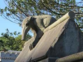 Anteater