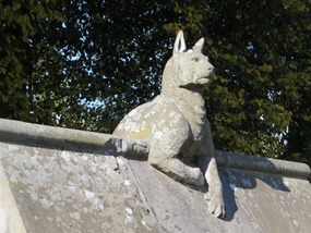 Lynx