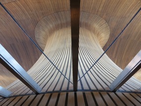 The Senedd Roof