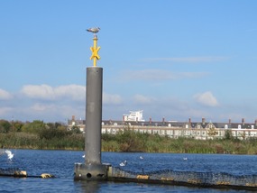 The nature reserve