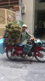 Prickly fruit lady