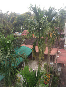 View out my window