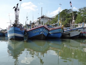 Ontelbaar aantal vissersboten in haven van Negombo