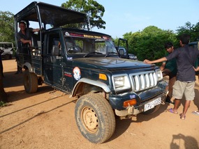 Onze stoere safari truck