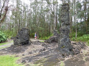 Lava trees