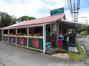 Leuke lunchstop in Pahoa