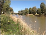 Naomi River at Narrabri