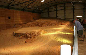Inside the run