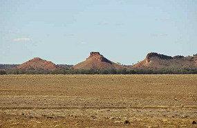 Stark landscape