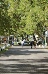 Palm Cove