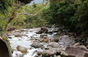 Mossman Gorge