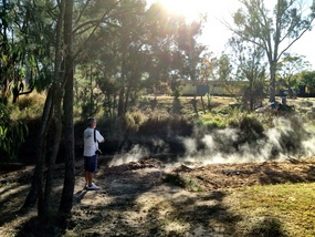 Early Morning Steam
