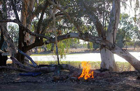 Campfire