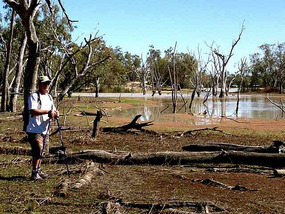 Wetlands Walk