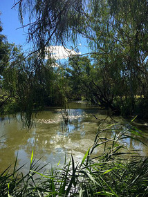 Bowenville Camping Ground creek