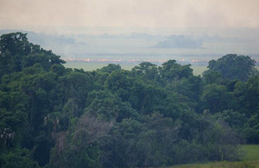 Fires abound
