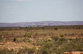 Road Train across Indee