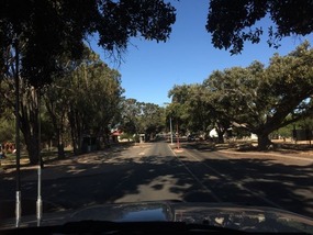 Dongarra