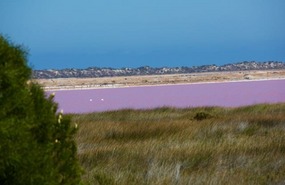 The Pink Lake