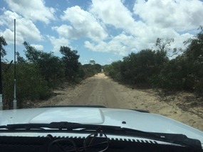 Stockyard NP