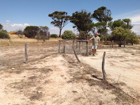 The Rabbit Proof Fence
