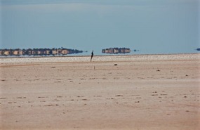Lake Ballard Sculptures