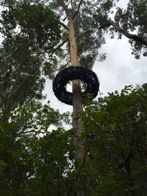 Pemberton & Surrounds