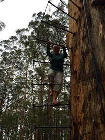 Evi Attacks Diamond Tree