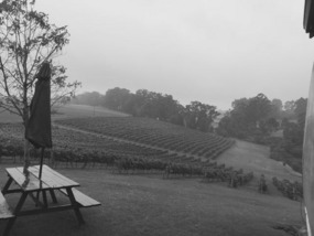 Rainy Day @ Jarrah Jacks