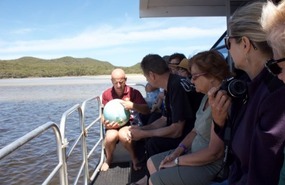 WOW Eco Cruise